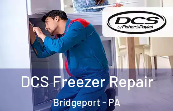  DCS Freezer Repair Bridgeport - PA