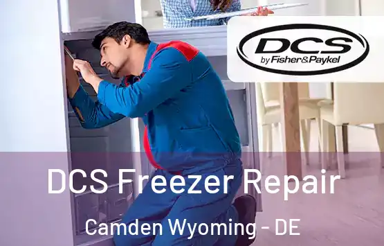  DCS Freezer Repair Camden Wyoming - DE