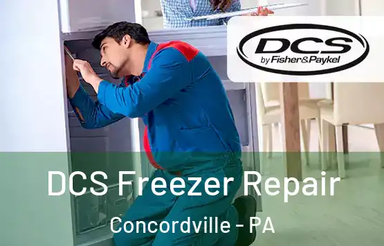  DCS Freezer Repair Concordville - PA