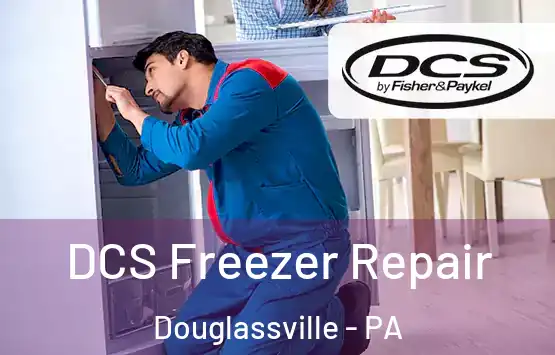  DCS Freezer Repair Douglassville - PA