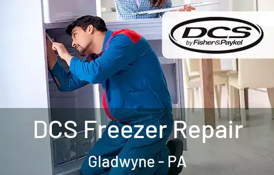  DCS Freezer Repair Gladwyne - PA