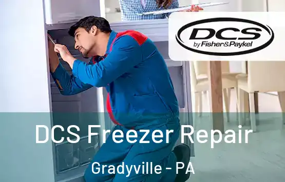  DCS Freezer Repair Gradyville - PA