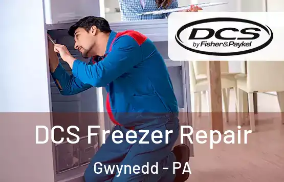  DCS Freezer Repair Gwynedd - PA