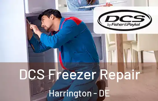  DCS Freezer Repair Harrington - DE