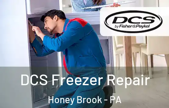  DCS Freezer Repair Honey Brook - PA