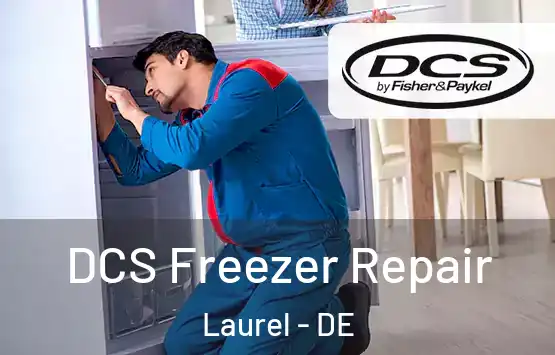  DCS Freezer Repair Laurel - DE