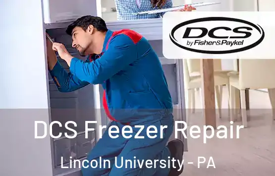  DCS Freezer Repair Lincoln University - PA