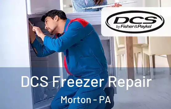  DCS Freezer Repair Morton - PA