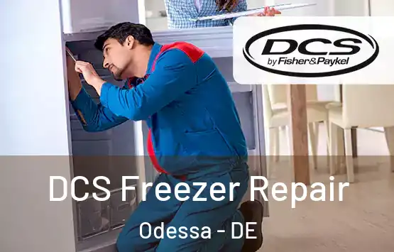  DCS Freezer Repair Odessa - DE