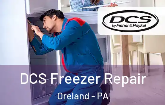  DCS Freezer Repair Oreland - PA