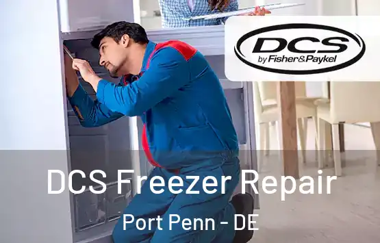  DCS Freezer Repair Port Penn - DE