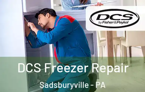  DCS Freezer Repair Sadsburyville - PA