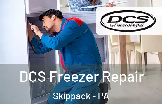  DCS Freezer Repair Skippack - PA