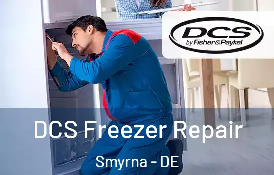  DCS Freezer Repair Smyrna - DE