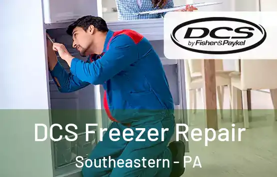  DCS Freezer Repair Southeastern - PA
