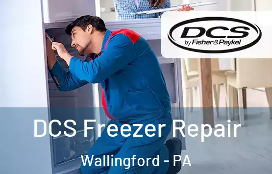  DCS Freezer Repair Wallingford - PA