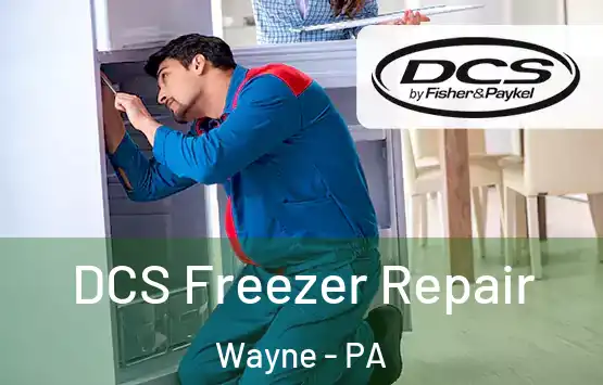  DCS Freezer Repair Wayne - PA