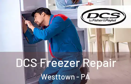  DCS Freezer Repair Westtown - PA