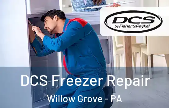  DCS Freezer Repair Willow Grove - PA