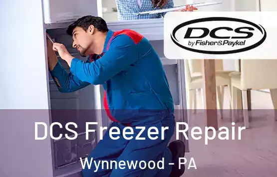  DCS Freezer Repair Wynnewood - PA