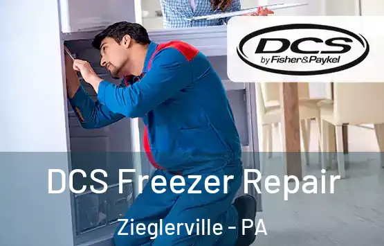  DCS Freezer Repair Zieglerville - PA