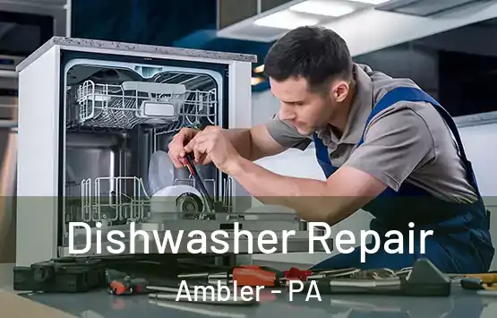  Dishwasher Repair Ambler - PA