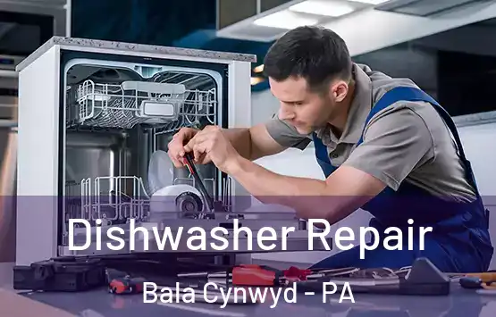  Dishwasher Repair Bala Cynwyd - PA