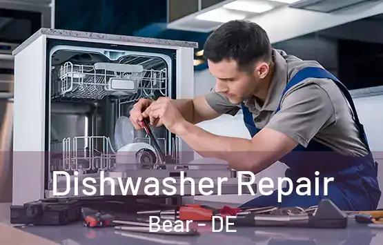  Dishwasher Repair Bear - DE