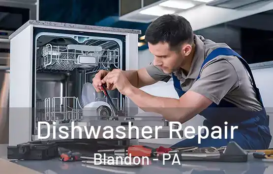  Dishwasher Repair Blandon - PA