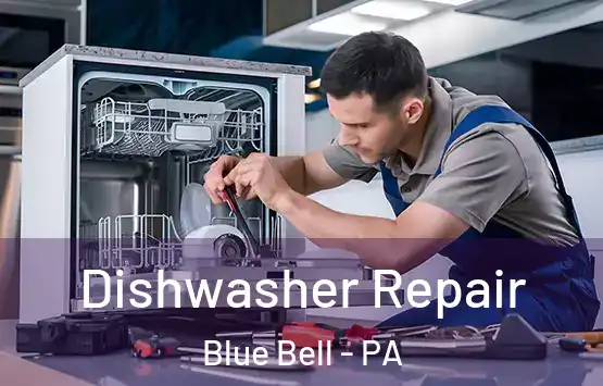  Dishwasher Repair Blue Bell - PA