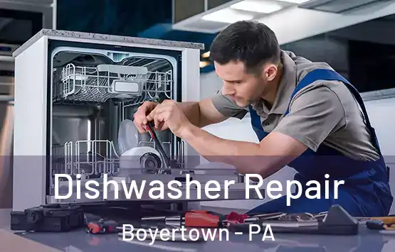  Dishwasher Repair Boyertown - PA