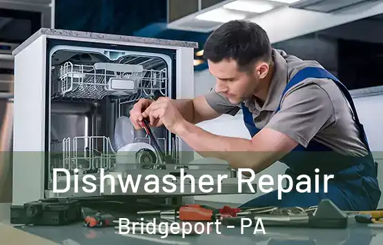  Dishwasher Repair Bridgeport - PA