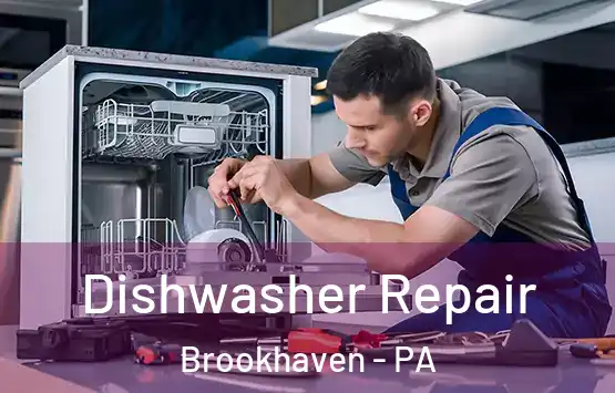  Dishwasher Repair Brookhaven - PA
