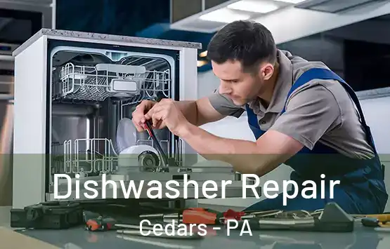  Dishwasher Repair Cedars - PA