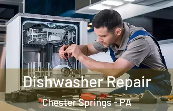  Dishwasher Repair Chester Springs - PA