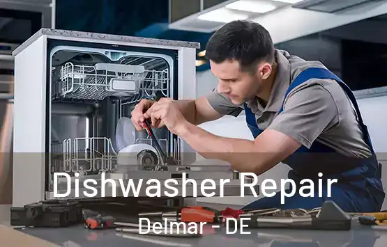  Dishwasher Repair Delmar - DE
