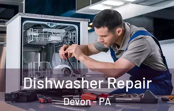  Dishwasher Repair Devon - PA