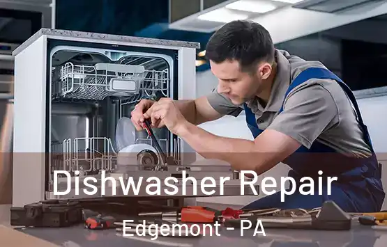  Dishwasher Repair Edgemont - PA