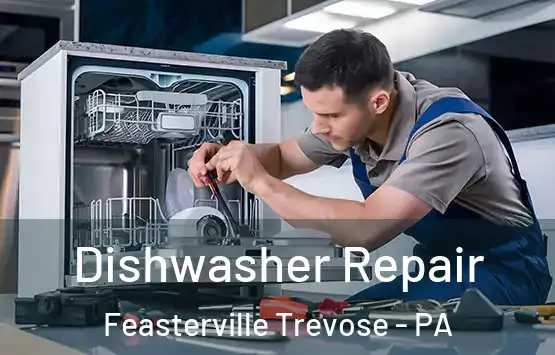  Dishwasher Repair Feasterville Trevose - PA