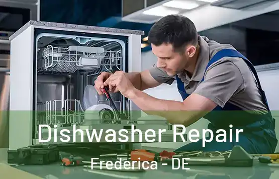  Dishwasher Repair Frederica - DE