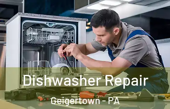  Dishwasher Repair Geigertown - PA