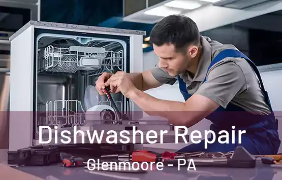 Dishwasher Repair Glenmoore - PA