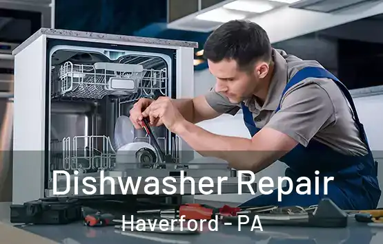  Dishwasher Repair Haverford - PA