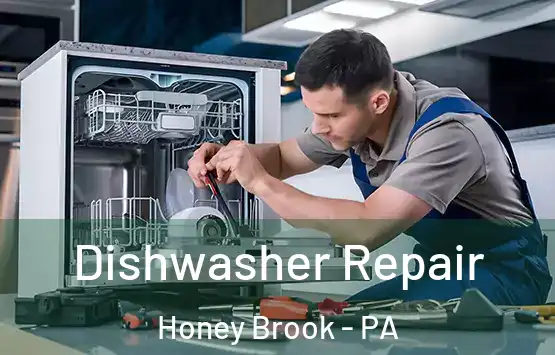  Dishwasher Repair Honey Brook - PA