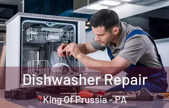  Dishwasher Repair King Of Prussia - PA