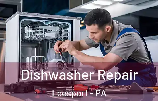  Dishwasher Repair Leesport - PA
