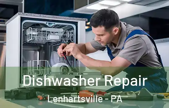  Dishwasher Repair Lenhartsville - PA