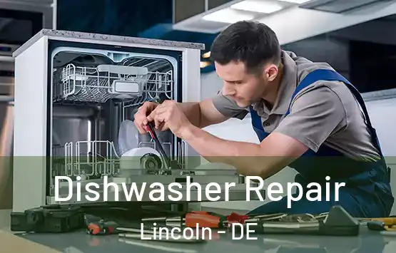  Dishwasher Repair Lincoln - DE