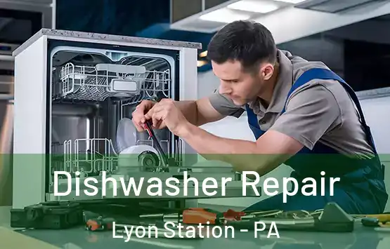  Dishwasher Repair Lyon Station - PA