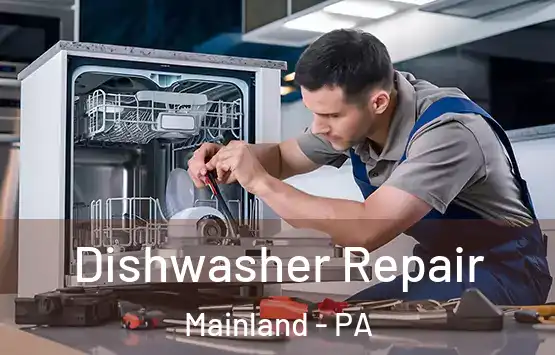  Dishwasher Repair Mainland - PA